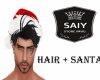 HAIR * SANTA *SY