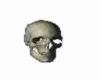 3d Skull
