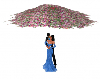 TG Floral Wedding Canopy
