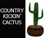 Country Kickin Cactus