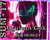 Ogulcan Gok-Summer