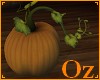 [Oz] - Pumpkins fall