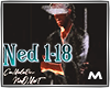 CAMELEON-NEDMET