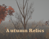 Autumn Relics Dead Tree
