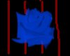 blue rose corset