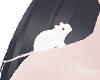 squeak