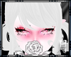 |z| Katsumy Bang