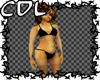 CdL Derivable LG Bikini