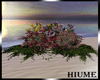 H* Bed Flowers