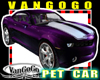 VG PET Car Purple drives