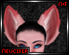 M! Rose Fox Ears 1