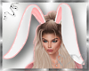 Cute lil Bunny Ears V2