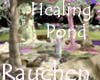 Healing Pond