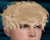 Blonde Hair Rolled