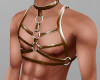 Brown Harness