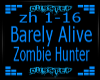 Zombie Hunter 
