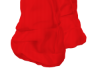 Sexy Red Boots