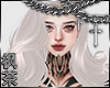冯 Sage Xue