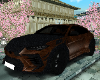 Bear Brown Urus
