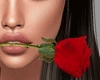 Red Rose Mouth V