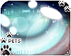[Pets] Quin | eyes v2