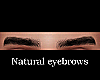 Natural eyebrows ( Men)