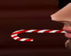 ANI XMAS CANDY CANE MOUT