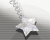 ★Star