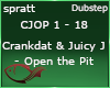 C&JJ - Open the pit