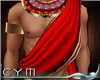 Cym Red Pharaoh Cloak