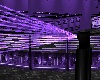 Dub laser post