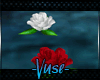 V Lagoon | Roses R & W