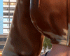 Hoodie Cow