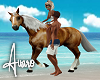 Palomino Horse Ride