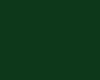 Emerald Corset