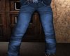 ~Z~ Country Blues Jeans