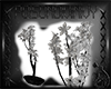 [P.D.I] flowers