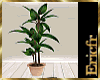 [Efr] Plant Interior 12