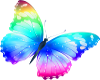 Rainbow Butterfly 