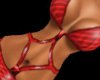 (D)Red Bikini