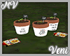 *MV* Garden Pots V2