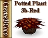 CDC-Blackfoot-Plant3bRed