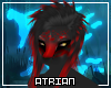 A| Aithalos M Hair V5