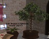 CD Boho Lighted Tree