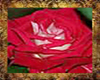 rose rug (NO POse)