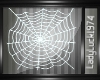 Animated Spiderweb