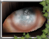 ~E- Insight (F)