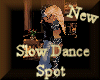 ! Slow Dance Spot Anim !