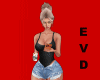 EVD Iphone 17 Pro Max