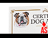 Dog Adoption Paper